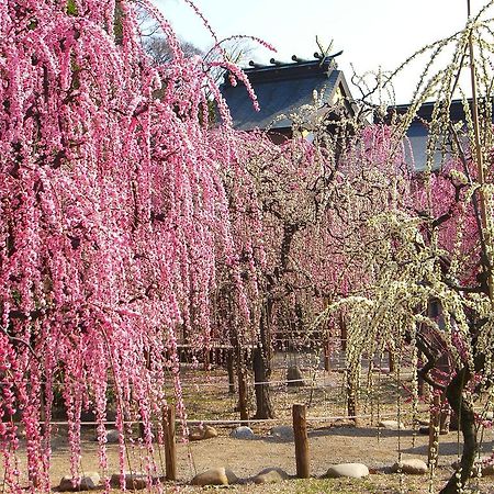 فندق Miyako City تسو المظهر الخارجي الصورة