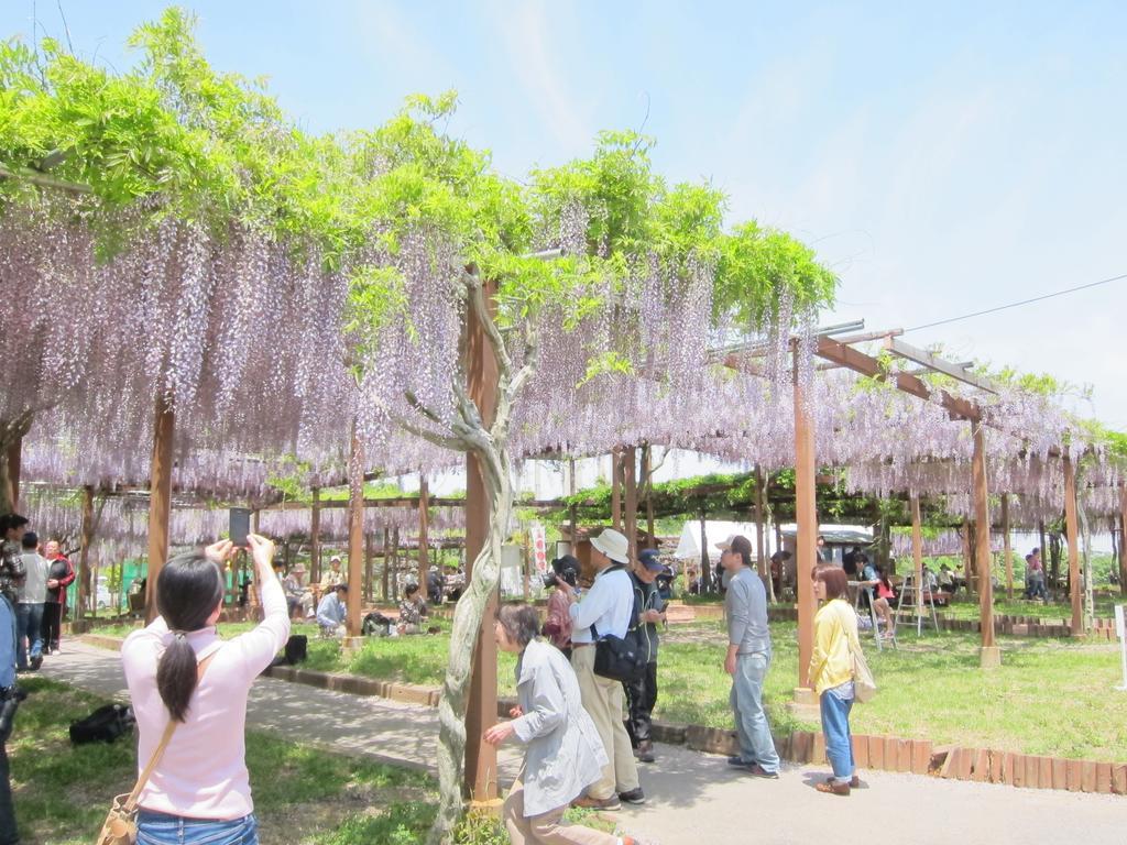 Miyako City تسو المظهر الخارجي الصورة