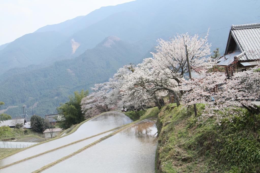 Miyako City تسو المظهر الخارجي الصورة