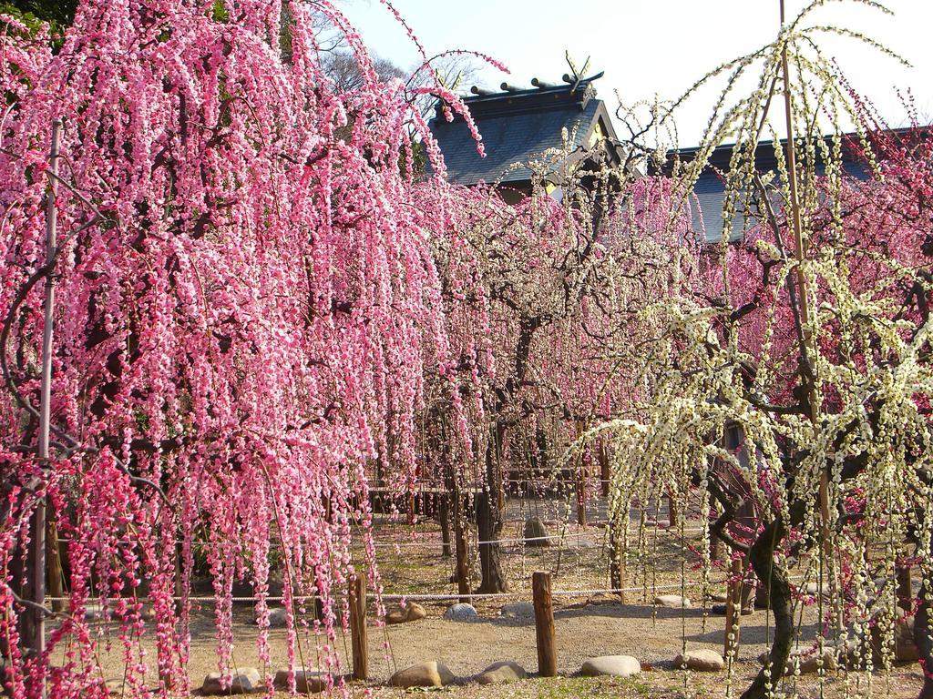 فندق Miyako City تسو المظهر الخارجي الصورة