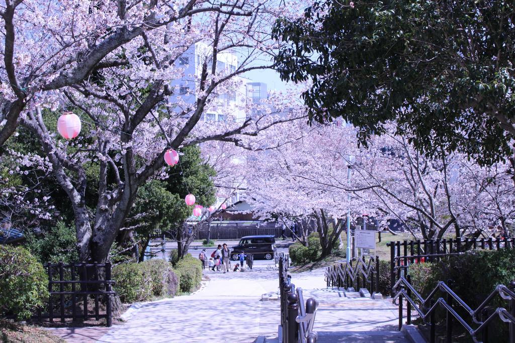 Miyako City تسو المظهر الخارجي الصورة